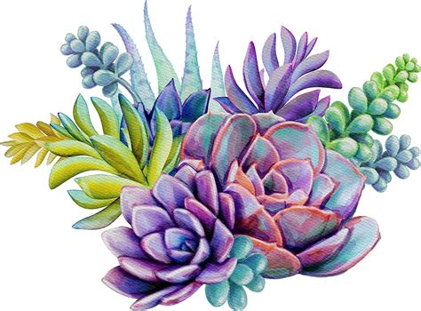 Succulent Clipart