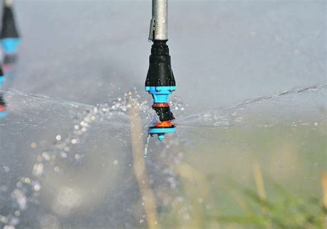 Irrigation Makes The Difference The Western Producer