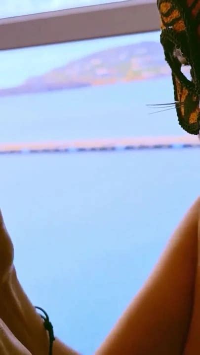 Epic Moment From Amatuer Curvy Cocksucker Mature Step Mommy Addicited