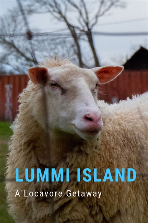 Locavore Trip: Lummi Island | Northwest TripFinder