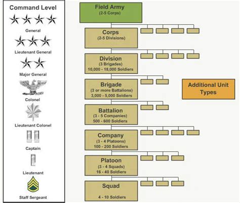 I Need This To Teach Us History Army Basic Training Combat Training Army Recruitment