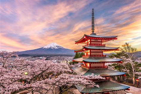 Best Time to Visit Japan: Which Season is Perfect for You?