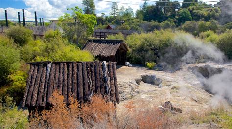 Whakarewarewa Thermal Reserve Tours - Book Now | Expedia