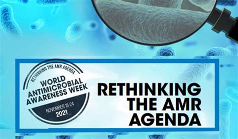 Rethinking The Amr Agenda