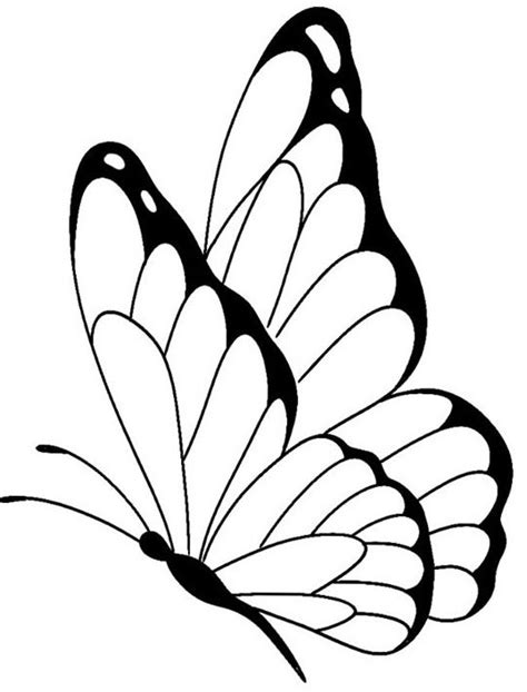 Pinterest Butterfly Drawing Easy Butterfly Drawing Butterfly