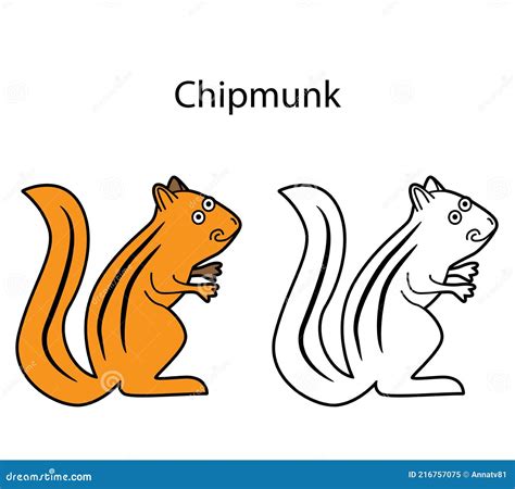 Chipmunk Tamias, Realistic Drawing Stock Illustration | CartoonDealer