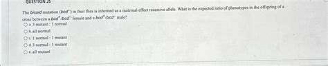 Solved QUESTION 25The bicoid mutation (bcd-)in fruit flies | Chegg.com