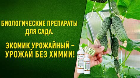 Биологические препараты для сада Экомик урожайный – урожай без химии ...