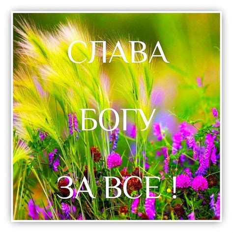 Pin su Благословения | Idee fotografiche, Idee, Fotografia