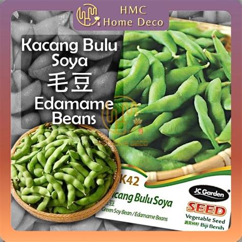 HMC K42 Edamame Beans Green Soy Bean JC GARDEN SEED GARDENING