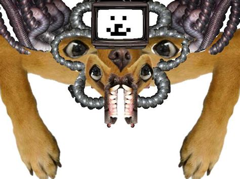 Cursed Image Rundertale