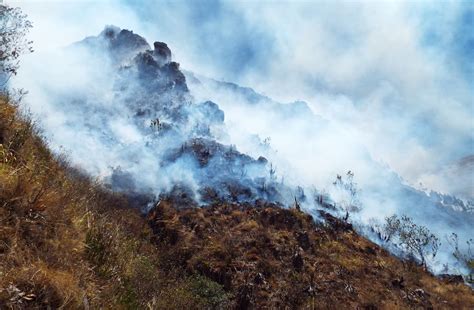 Incendios Forestales Afectan A Cinco áreas Naturales Protegidas El Informante Peru