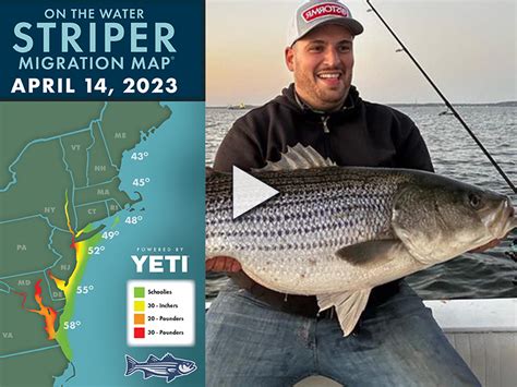 Striper Migration Report: April 14, 2023 - On The Water