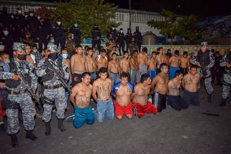 Comando Azul 🇸🇻 On Twitter La Pncsv Y La Fuerzarmadasv Capturan A