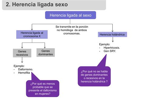 CLASE HERENCIA LIGADA AL SEXO Y GENEALOGIAS NM4 BIOLOGÍA ppt