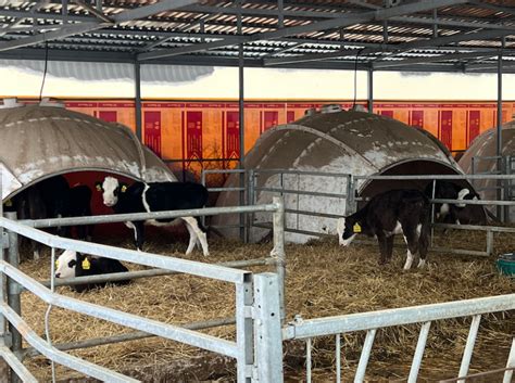 Магазин органических продуктов органические продукты купить в Москве с ...