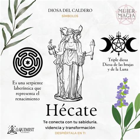 An Image Of The Zodiac Sign For Hecatee With Flowers And Plants Around It