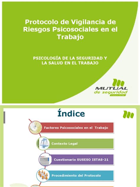 Protocolo De Vigilancia De Riesgos Psicosociales En El Trabajo Pdf