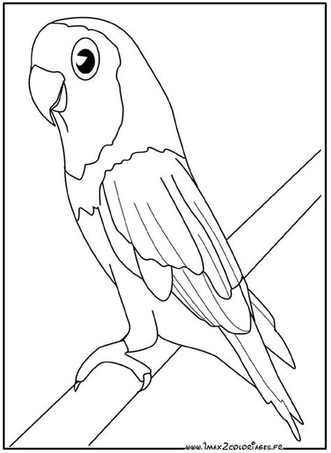 Dessins De Coloriage Oiseau Imprimer Sur Laguerche Page