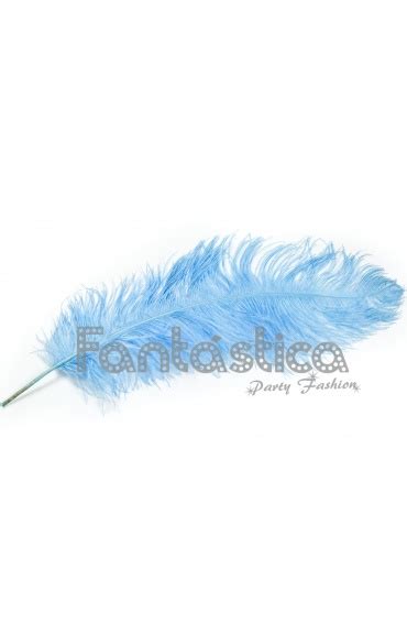 Pluma De Avestruz Para Disfraces Pluma De Avestruz Unidad De 50 A 55