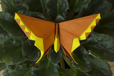 Michael LaFosses Origami Butterflies Origamido Studio