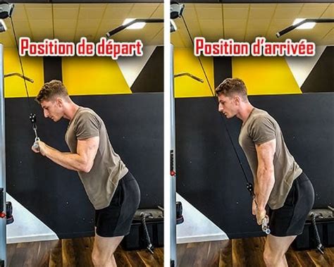 Comment Faire une Extension des Triceps à la Poulie