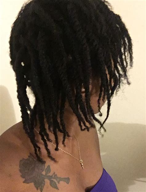 Starter Locs Two Strand Twists