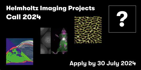 Helmholtz Imaging Projects Call 2024 Open Helmholtz Imagingde