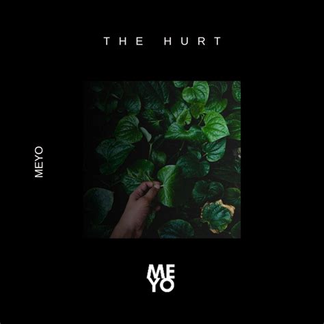 The Hurt Single By Meyo Spotify