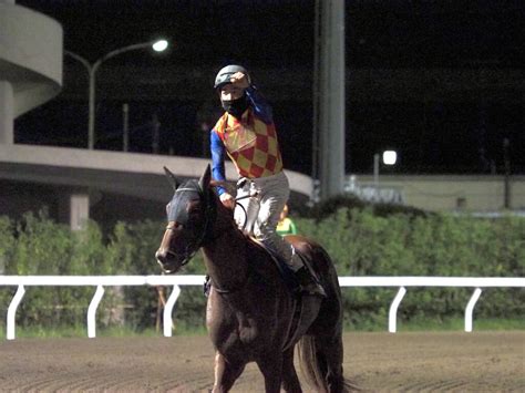 【帝王賞】高柳大輔師「ホッとしました」テーオーケインズがv 競馬ニュースなら競馬のおはなし