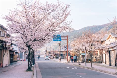 10 Things to Do in Nara, Japan