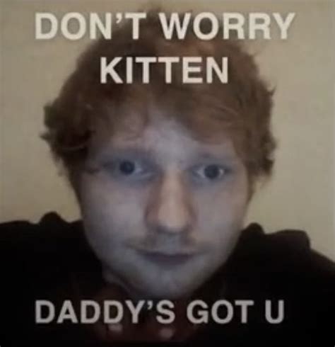 ed sheeran meme | Very funny pictures, Weird pics to airdrop, Ed sheeran memes