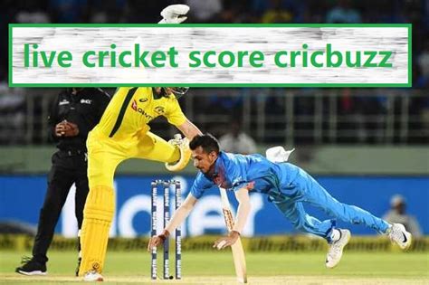 live cricket score cricbuzz - The Cricket Station