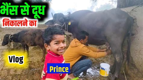 भैंस से दूध निकालने का Vlog Uttar Pradesh Vlog Youtube