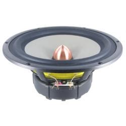 SEAS Exotic W8 X2 08 8 Woofer Alnico Magnet