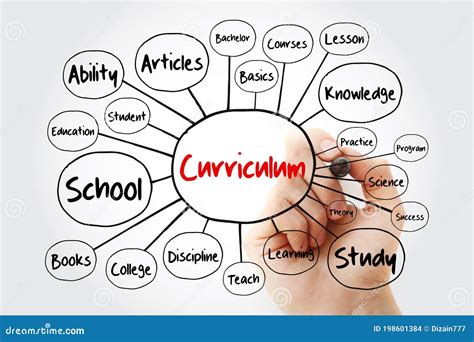 Diagrama De Flujo Del Mapa De La Mente Curricular Con Marcador Sexiz Pix