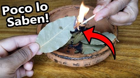 Esto Pasa Cuando Quemas Hojas De Laurel En Tu Casa Lo Que Pasa