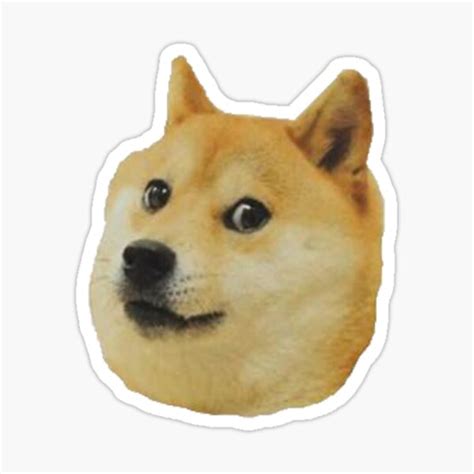 "Doge" Sticker by HaddadImages | Redbubble