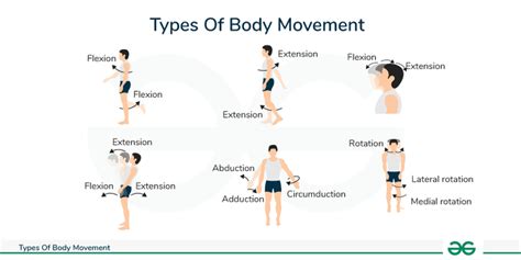 Body Movement Different Types Of Body Movements Geeksforgeeks