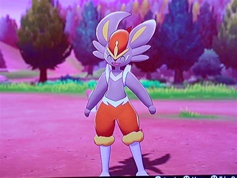 Shiny Scorbunnycinderace 96 Eggs Pokémon Amino