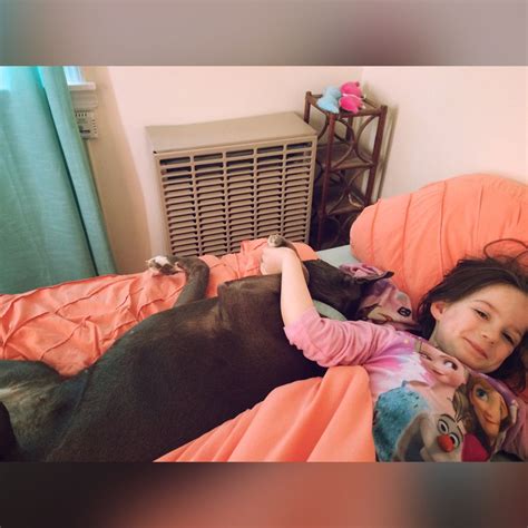 Pitbull Snuggles Pitbulls Snuggles Four Legged