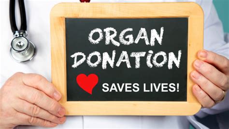 70 Slogans On Organ Donation Slogans Buddy