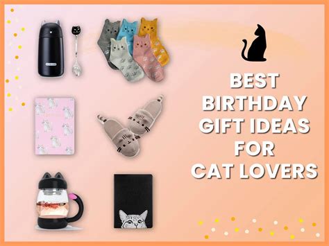 Best Birthday T Ideas For Cat Lovers In 2021 Best Birthday Ts