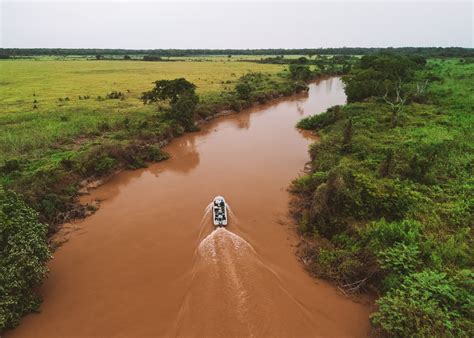 Turismo No Pantanal Descubra Como Visitar O Pantanal