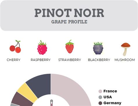 PINOT NOIR GRAPE PROFILE – Enobytes Food & Wine