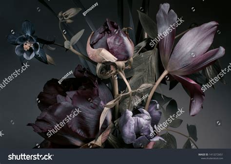 Black-tulip Images, Stock Photos & Vectors | Shutterstock