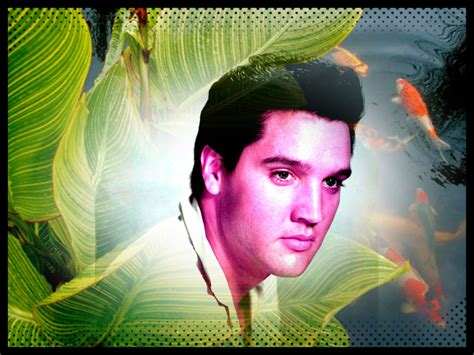 Neil Elvis Presley Fan Art 35993834 Fanpop