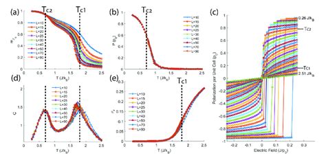 Color Online Above Shows The Simulation Results On The Ferroelectric