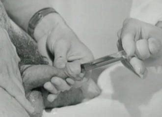 Sex Hygiene Free Gay Man Porn Video B7 XHamster XHamster