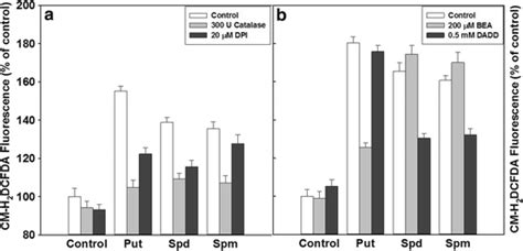 The Effect Of Ros Scavengers Catalase And Inhibitors Of Ros